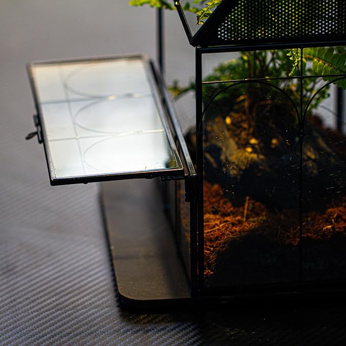 NCYP Glass Enclosure with Vent Holes for Insect, Jumping Spiders - 7.5" x 4.9" x 9" Small Closed Front Opening Door Succulent Terrarium - House Shape Habitat, Home Decor Black (No Plants)