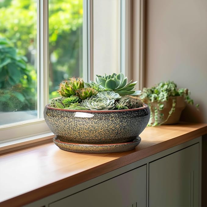 SQOWL Bonsai Planter - 10 Inch Ceramic Succulent Pots, Shallow Plant Pot Indoor with Drainage Hole and Saucer, Ceramic Bonsai Pots, Round Planter Bowl Outdoor, House Decor, Plant Lover Gifts, Brown