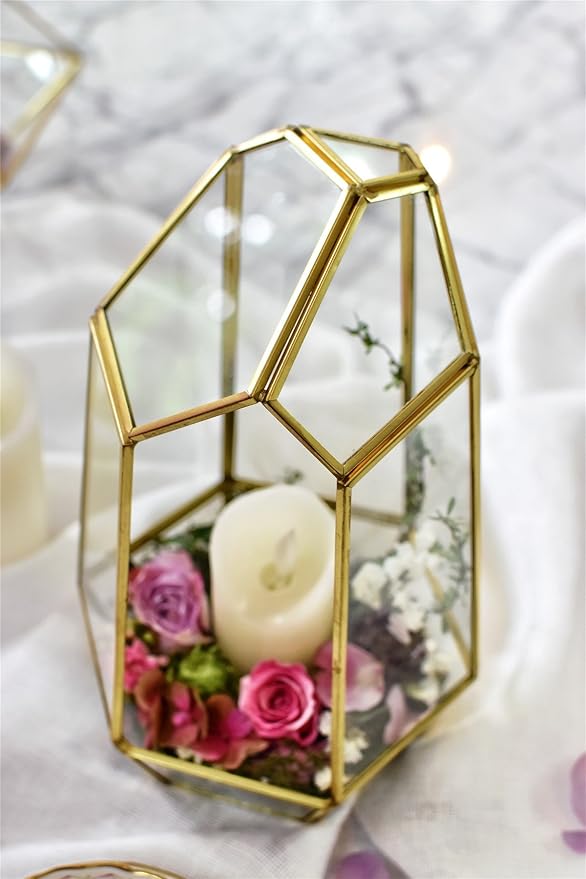 NCYP Geometric Glass Terrarium - Irregular Brass Planter Pot for Succulent Air Plants - Home Fairy Garden Decor - 6.5x5.7x9.8 Inches, Gold (No Plants, NO Door)
