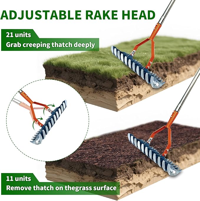 Thatch Rake,14" Wide 21-Tines Sturdy Garden Dethatcher Rake,Heavy Duty Ergonomic Adjustable Stainless Steel Handle;Durable Versatile Head for Removing Dead Grass and Leaves Clippings, Loosening Soil