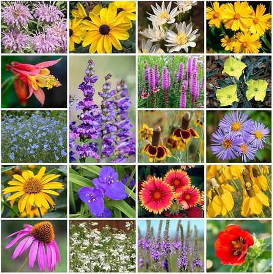 Grow Your Own Vibrant Annual and Perennial Wildflower Garden Seeds Mixture, Varieties for Pollinators and Spring Gardens - Native Perennial Mix, 1 lb