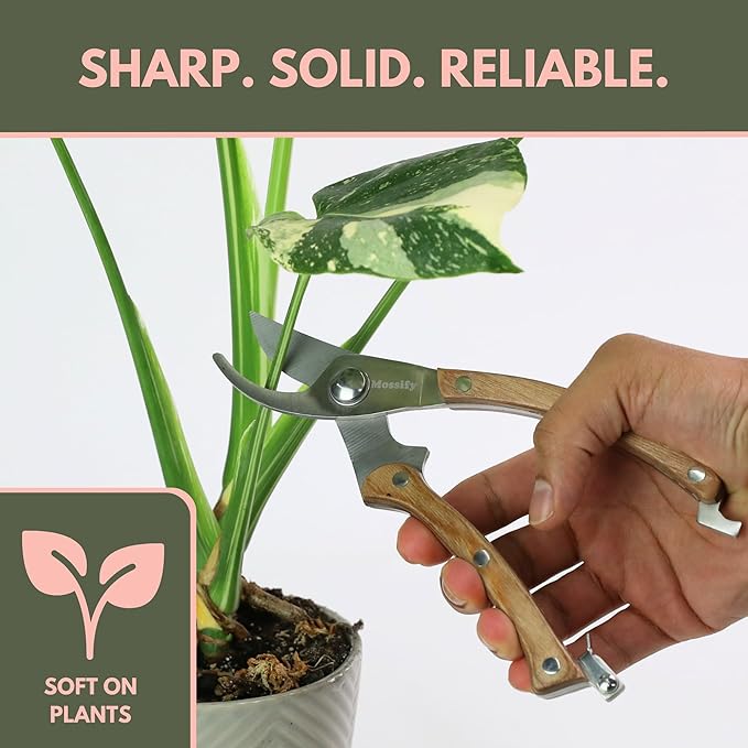 Mossify Garden Shears 8” – Premium Stainless Steel Pruning Shears for Gardening with Wooden Handle – Hand Pruners, Plant Clippers & Garden Scissors – Sharp Garden Tool for Left & Right Hand Use