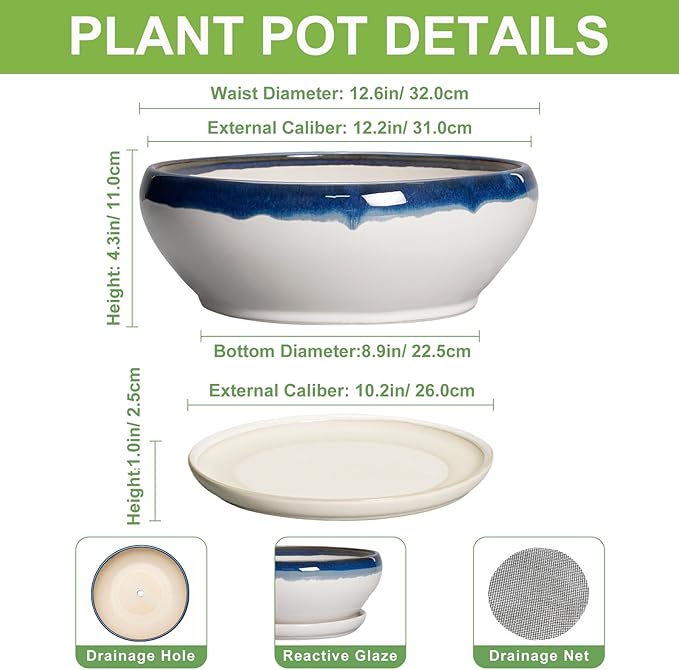 SQOWL Bonsai Tree Pots - 12 Inch Ceramic Succulent Planters, Large Bonsai Pot with Drainage Hole and Tray, Shallow Planter Indoor Outdoor, Bowl Round Planter, Home Decor, Plant Lover Gift, Blue-Beige