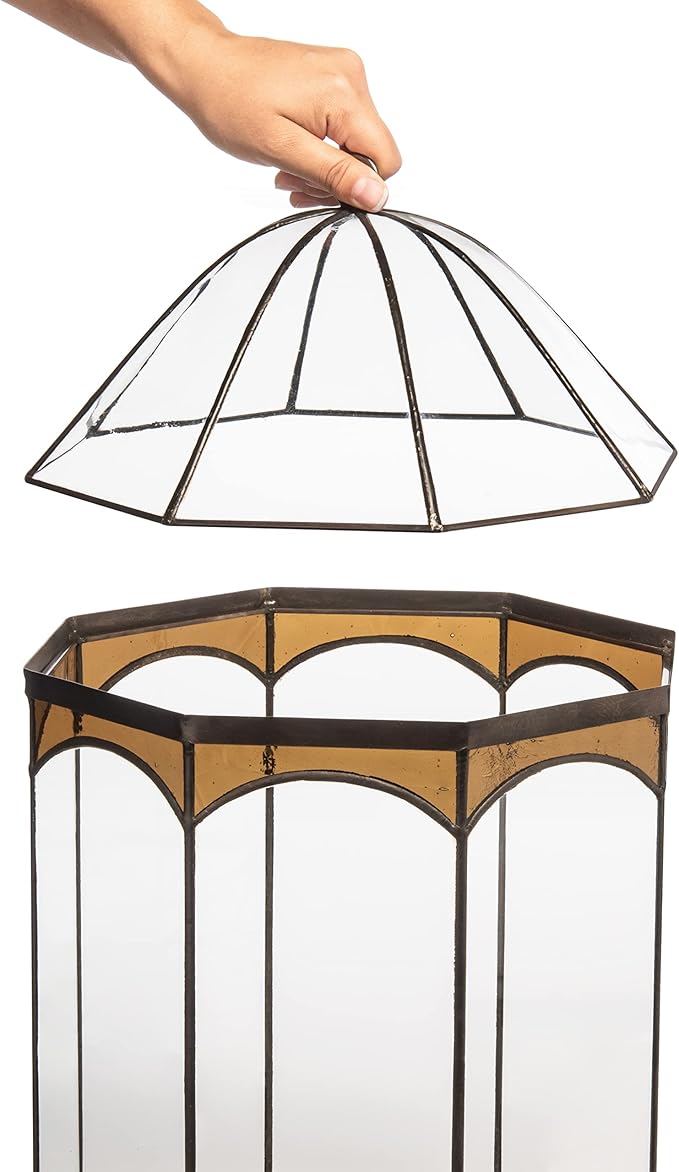 H Potter Eight Sided Terrarium Wardian Case with Curved Glass and Brown Accents Large