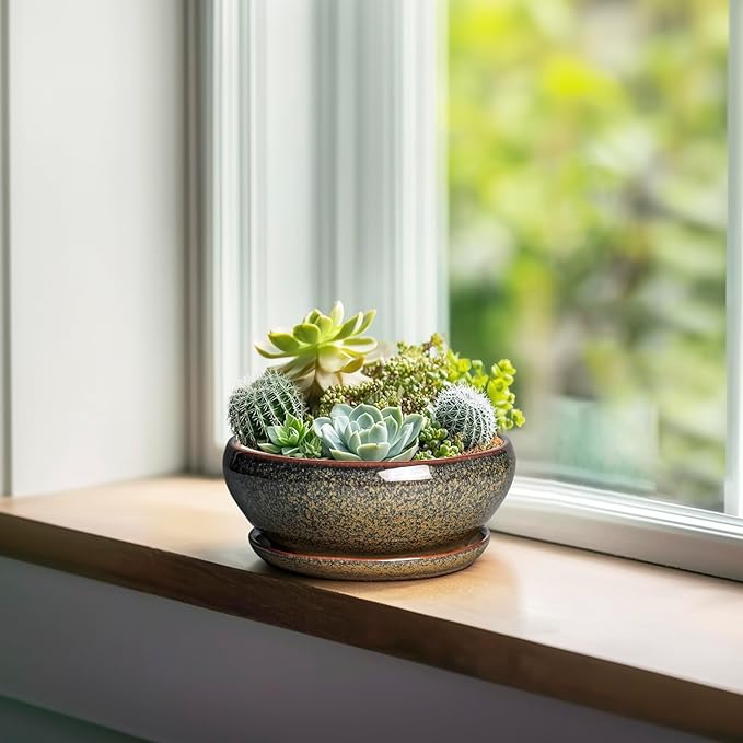 SQOWL Bonsai Pots Small - 6 Inch Ceramic Succulent Pots with Drainage Hole and Saucer, Shallow Round Planter for Indoor Plants Outdoor, Ceramic Cactus Planter, Patio Decor, Housewarming Gift, Brown