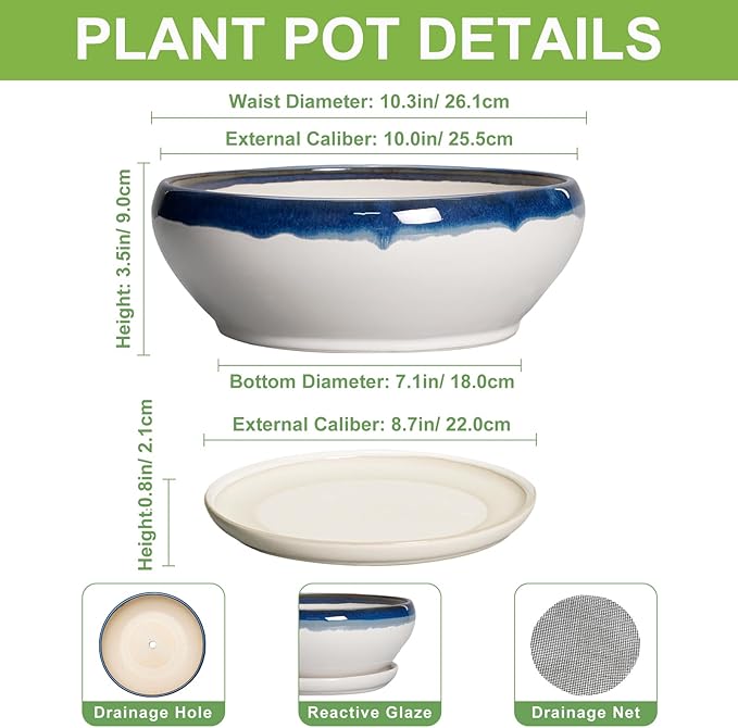 SQOWL Bonsai Pots - 10 Inch Ceramic Pots for Succulents Indoor Outdoor, Shallow Planter with Drainage Hole and Saucer, Round Succulent Planters Bowl, Kitchen Decor, Housewarming Gifts, Blue-Beige