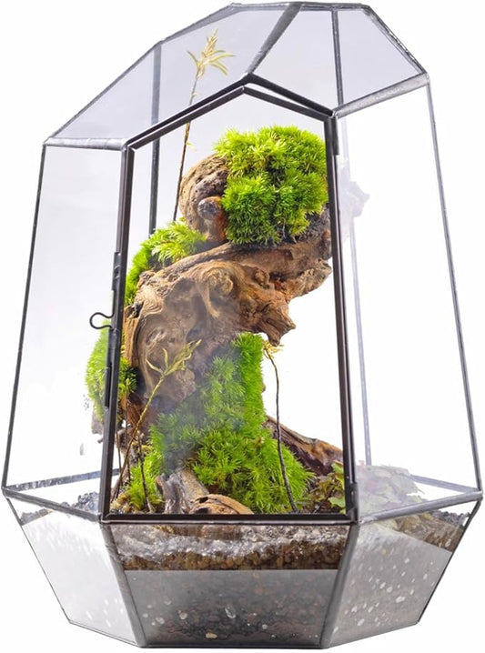 NCYP Close Geometric Glass Terrarium with Door - 9.8 inches Tall Irregular Planter for Succulents, Small Cacti, Modern Home Garden Tabletop Decor, Black, Handmade (Plants NOT Included)