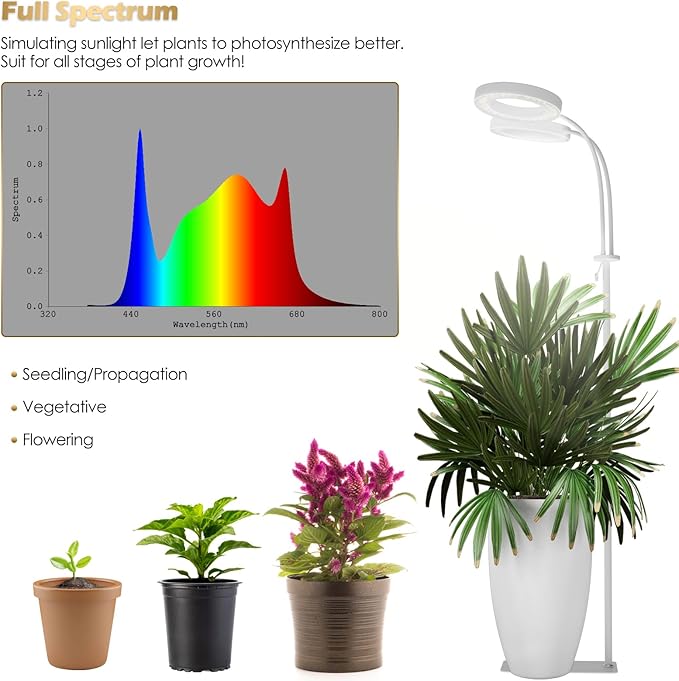 GLOWRIUM Grow Lights for Indoor Plants, Full Spectrum LED Grow Light Floor Lamp with Stand Adjustable Height and Angle, Black Plant Light with 3/9/12H Grow Light Timer (White, 36W)