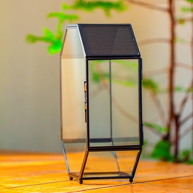 NCYP Glass Enclosure Terrarium with Mesh and Door for Jumping Spiders, Insects - Octagon Shape Small Succulents Terrarium 6.2 x 3.1 x 8.7 inches, Black Tabletop Decor (Plants Not Include)