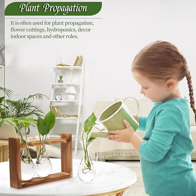 Glass Plant Propagation Station Bulb Planter Vase with Wooden Stand Birthday Gifts for Women Mom Plant Lovers Office Home Decoration