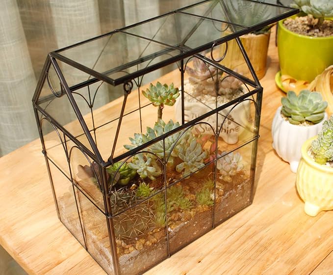 ELEGANTLIFE Glass Geometric Plant Terrarium,Succulent & Air Planter for Home Garden Office Decoration (Black House)
