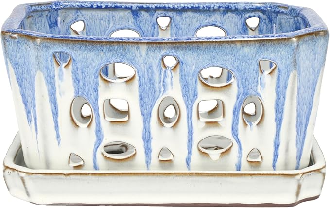 W&W Orchid Pot with Holes, Garden Pot for Orchid, Plant and Flower Pots Indoor Outdoor,Blue and White,9 Inches
