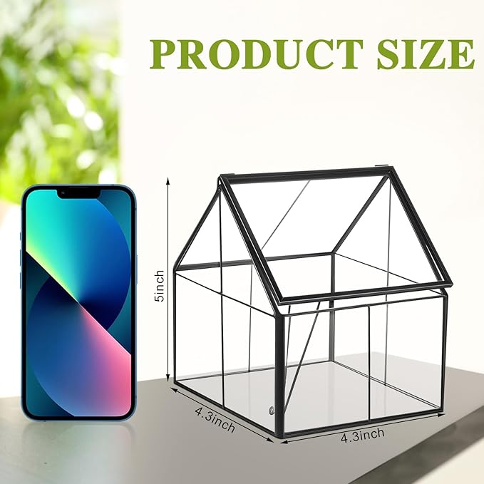 Set of 2 Mini Glass Terrarium Planter with Lid, Small Greenhouse Terrarium Jar, Glass Container Pot, Tabletop Succulent Small Cacti Air Plant Planter for Indoor Home Garden Office Decor
