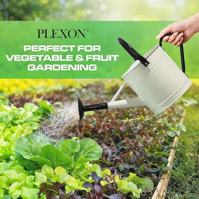 Plexon 1 Gallon Metal Watering Can Outdoor, Flower Plant Gardening Garden Large Watering Can Pot, Black Galvanized Steel Handles and Removable Spray Spout, Off-White
