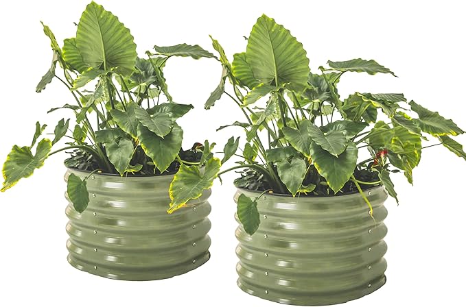 17" Tall Herb Raised Garden Bed for Basil Lavender Sages, 24" Wide Round Fruit Tomato Planter Box for Gardening Blueberries Figs, Flower Metal Pot Container for Rose, Twin Pack, Olive Green