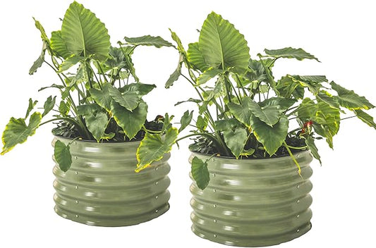 17" Tall Herb Raised Garden Bed for Basil Lavender Sages, 24" Wide Round Fruit Tomato Planter Box for Gardening Blueberries Figs, Flower Metal Pot Container for Rose, Twin Pack, Olive Green