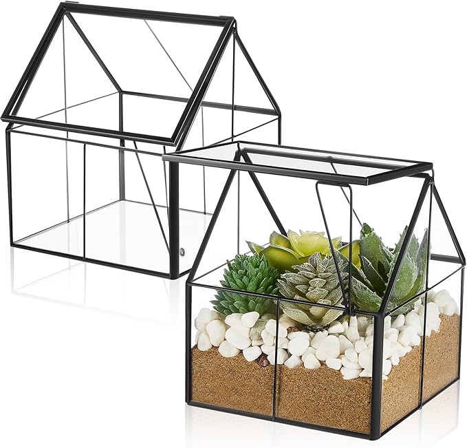Set of 2 Mini Glass Terrarium Planter with Lid, Small Greenhouse Terrarium Jar, Glass Container Pot, Tabletop Succulent Small Cacti Air Plant Planter for Indoor Home Garden Office Decor