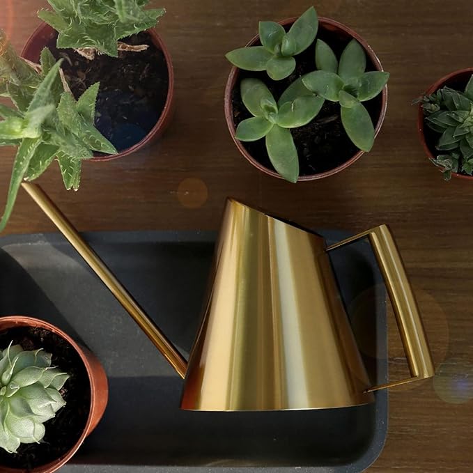 50.8 oz Watering Can Indoor Plants Stainless Steel Plant Waterer Watering Pot Sprinkle Pot Garden Flowers Plants Flower Tool Gold Watering Can with Long Spout (1500ml)