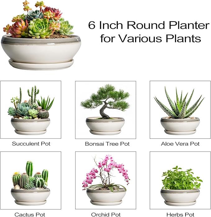 SQOWL Succulent Planters - 6 Inch Ceramic Bonsai Pots, Shallow Planter with Drainage Hole and Saucer, Round Planter for Indoor Outdoor, Cactus Succulent Pots, Desk Decor, Garden Gifts, Gray-Beige