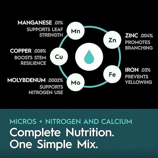 Base A 5 Gallon | Liquid Nutrient Solution | Essential Macronutrients & Chelated Micronutrients for Hydroponics & Soil Cultivation