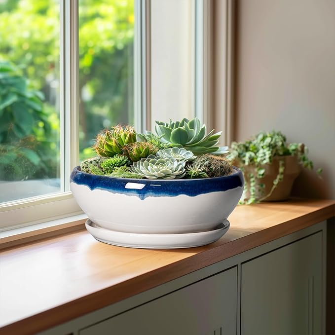 SQOWL Bonsai Pots - 10 Inch Ceramic Pots for Succulents Indoor Outdoor, Shallow Planter with Drainage Hole and Saucer, Round Succulent Planters Bowl, Kitchen Decor, Housewarming Gifts, Blue-Beige