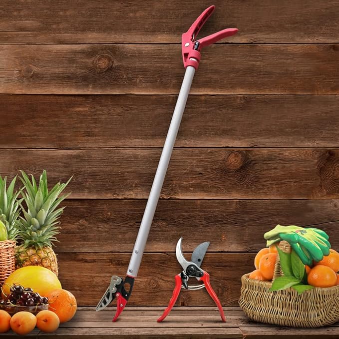 Cut and Hold Pruner Set, Lightweight 32-Inch Long Reach Pruner One-Handed Operation, Hold Long Reach Cut Rotating, 8.3" Hand Pruner for Branch Pruning, Fruit Picking, Prickly Plants & Roses