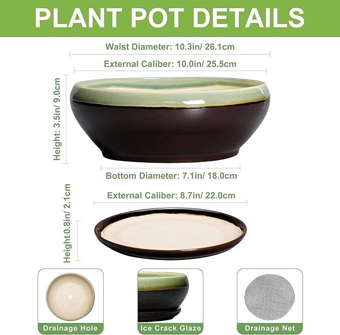 SQOWL Succulent Planters 10 Inch - Ceramic Bonsai Pots with Drainage Hole and Saucer, Shallow Indoor Planter, Round Succulent Pot, Bowl Planter Outdoor, Porch Decor, Gift for Plant Lover, Green-Brown