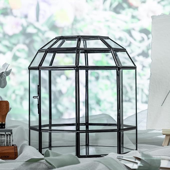 NCYP Geometric Glass Terrarium Dome for Succulent Cacti Air Plants, 6.6x6.6x8 Inches Closed Birdcage Planter Pot, Indoor Miniature Fairy Garden Display Container, Black, Handmade (Only Terrarium)