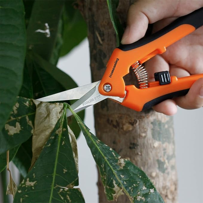 6 Packs Garden Pruning Shears with Straight Blades Trimming Scissors, Gardening Hand Pruning Snips Titanium Coated Precision Bonsai Pruning Shears, Convenient Flower Cutters (Orange)