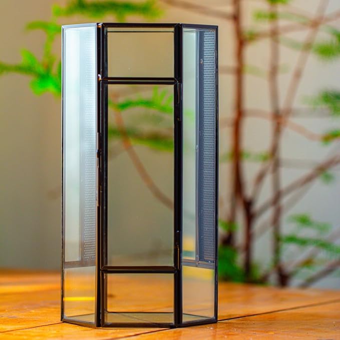 NCYP Small Glass Enclosure Terrarium with Mesh and Door for Jumping Spiders, Insects - Hexagon Shape Succulents Terrarium 4.9'' x 3.9'' x 9.4'', Tabletop Decor, Black (Plants Not Include)