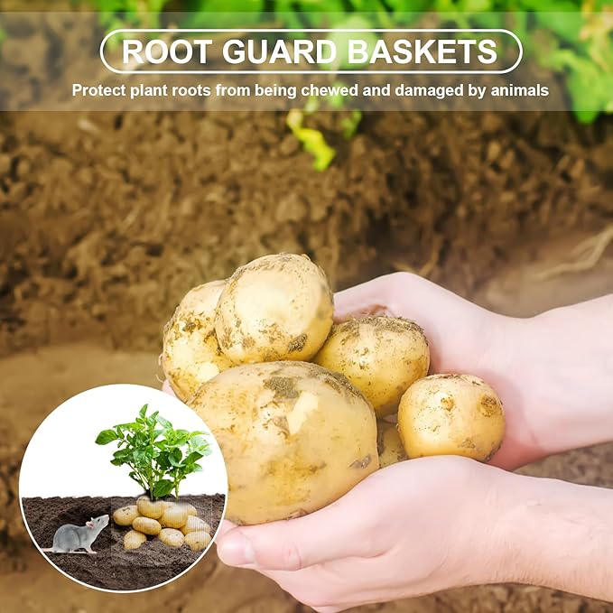 6 Pack 10Gallon/5Gallon/3Gallon Root Guard Baskets for Plants, Underground Stainless Steel Wire Mesh Cages Gopher and Vole Wire Basket for Plants Root Protection