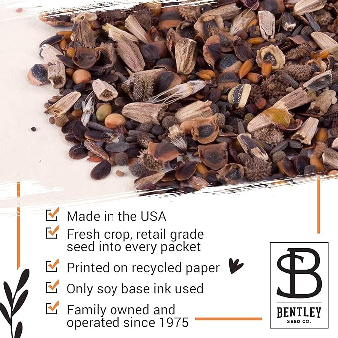 Bentley Seeds Co. Merry Christmas Wreath of Birds Holiday/Christmas Gift Tags | Non-GMO, Non Coated Bird & Butterfly Pollinator Wildflower Seed Mix | 25 Seed Packets