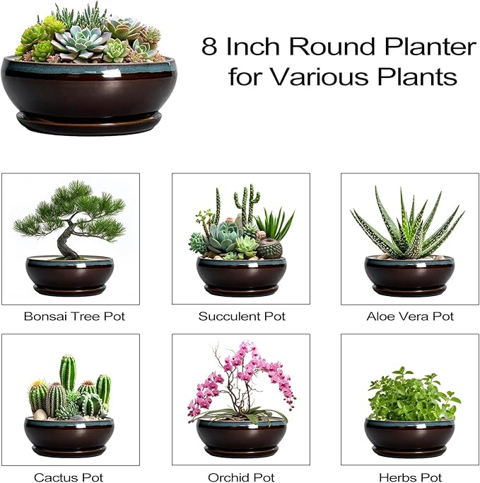 SQOWL Succulent Planters 8 Inch - Ceramic Bonsai Pots with Drainage Hole and Ceramic Saucer, Round Shallow Planter for Indoor Plant, Bowl Planter Outdoor, Desk Decor, Gift for Plant Lover, Blue-Brown