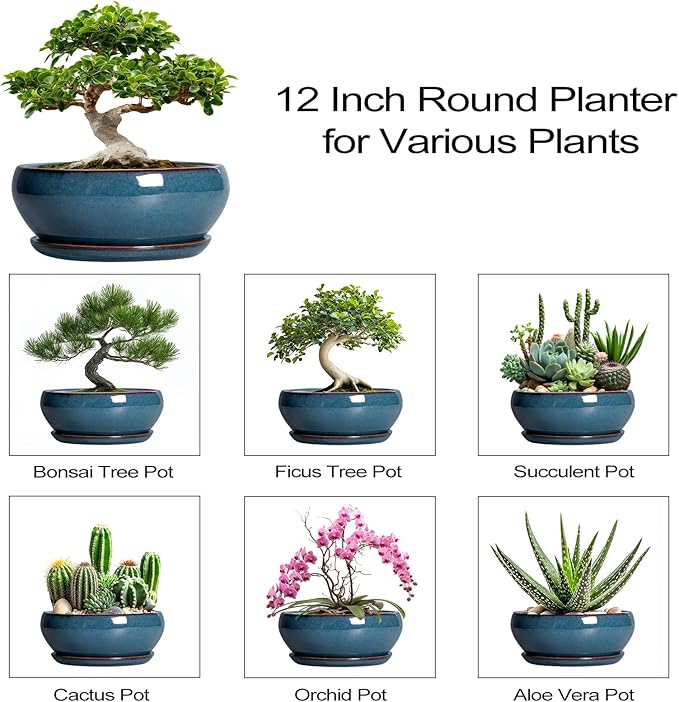 SQOWL Bonsai Tree Pots - 12 Inch Ceramic Succulent Pots, Large Shallow Planter with Drainage Hole and Saucer, Bowl Round Planters for Indoor Outdoor Plants, House Decor, House Warming Gifts, Blue