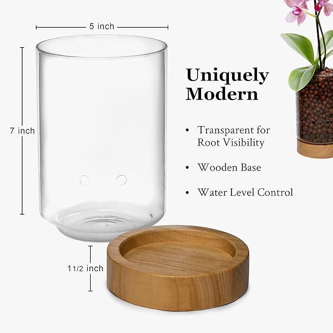 Pot & Pebble - C1 Glass Planter with Wooden Base - Indoor Glass Planter with Water Level Control Holes -Grow Plants in LECA Clay Pebbles/Similar Media - Semi Hydroponic Planter - Plant Cutting Holder