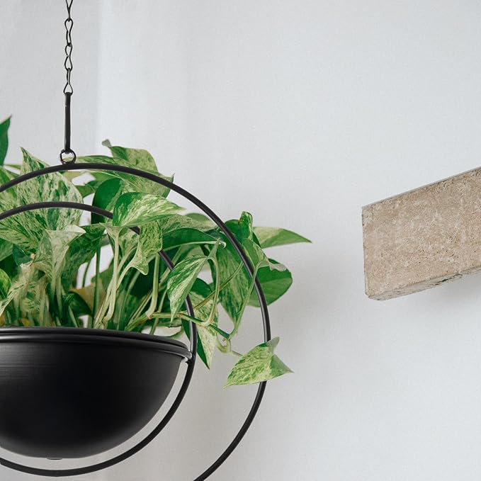 Hajia 1 Pack Moon Shaped Hanging Plant Holder with 8 Inch Detachable Pot, Black Metal Plant Hanger for Indoor Outdoor, Minimalist Hanging Planter for Wall Ceiling Decor.（with Drainage Holes）