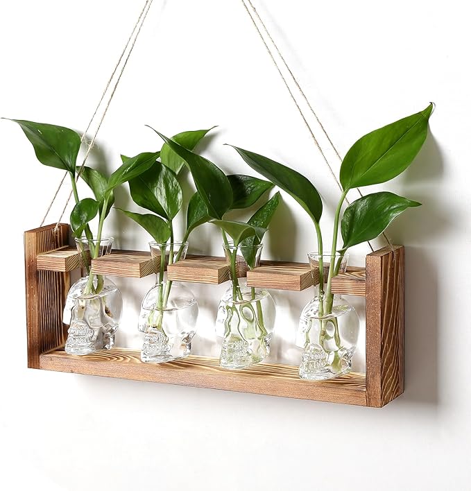 Plant Propagation Stations Halloween Skull Plant Terrarium Kit Glass Vases Gift for Father Air Planter Home Office Decor