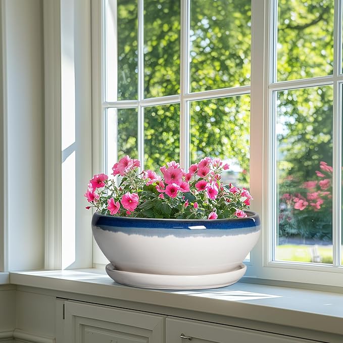 SQOWL Bonsai Tree Pots - 12 Inch Ceramic Succulent Planters, Large Bonsai Pot with Drainage Hole and Tray, Shallow Planter Indoor Outdoor, Bowl Round Planter, Home Decor, Plant Lover Gift, Blue-Beige