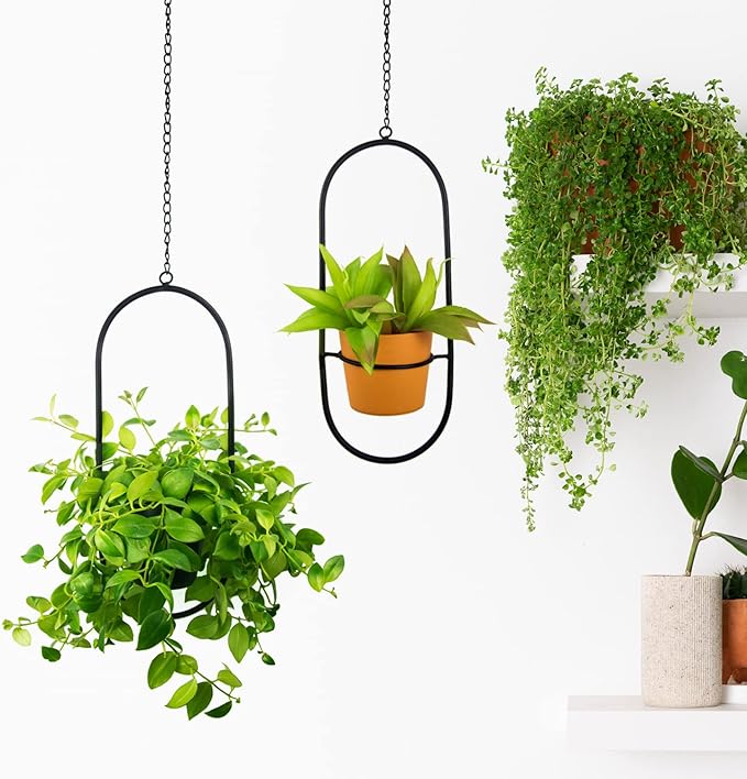 Modern Hanging Planters for Indoor Plants, Metal Plant Hanger with 5 inch Flower Pots,Set of 2 Black Oval Shape Plant Holders, Wall and Ceiling Hanging Pots for Outdoor Plants, Home Décor