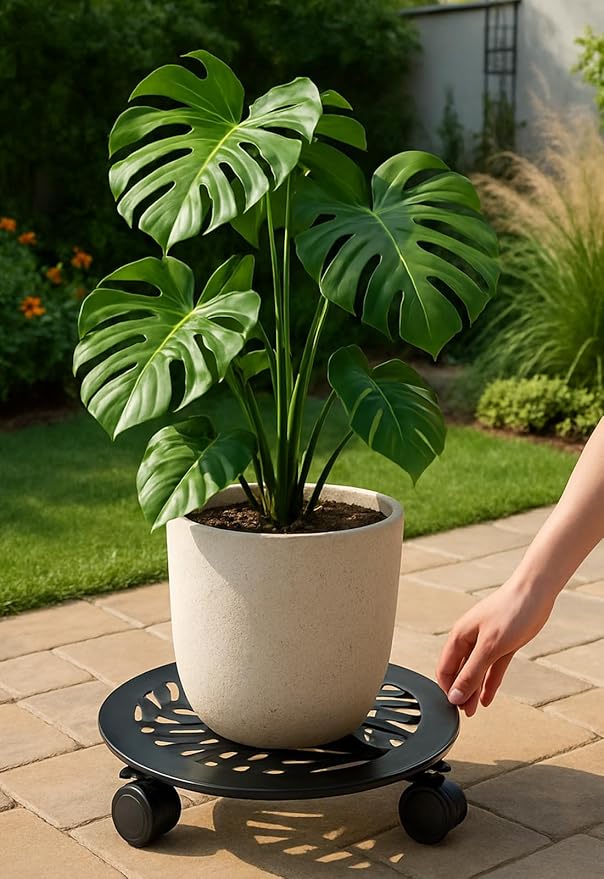3 Packs Large Metal Plant Caddy with 3 PU Wheels 12" Heavy-duty Wrought Iron Rolling Plant Stands Indoor Outdoor Wheeled Plant Dolly Planter Mover Rollers Plant Trolley Cart, Plant Saucers Included