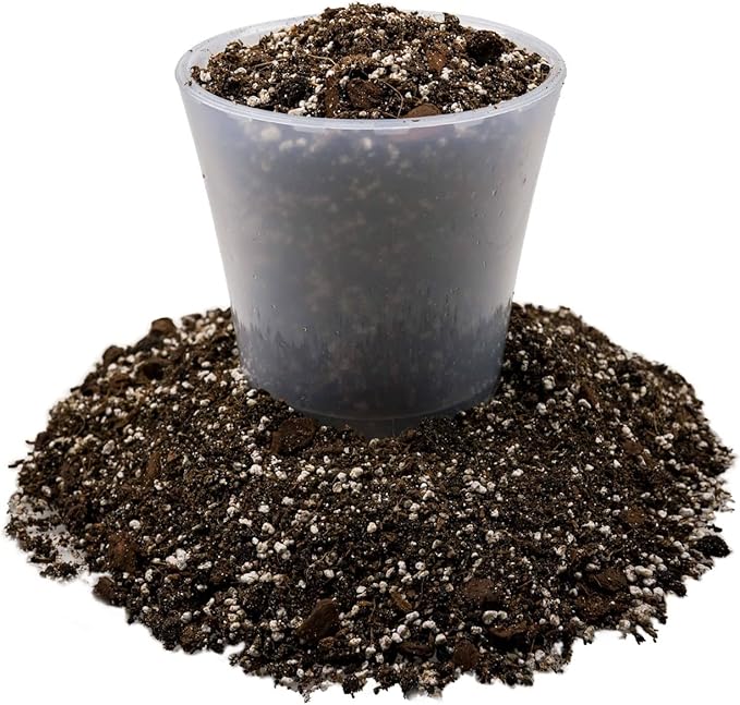 Gardenera Fiddle Leaf Fig Soil Mix - 10 Quart - Premium Blend of Peat Moss, New Zealand Bark, Coco Chips, and Perlite for All Purpose Planting - 2 Bags of 5 Quart