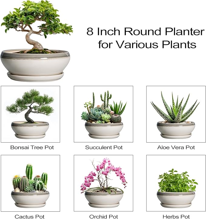 SQOWL Bonsai Tree Pots - 8 Inch Ceramic Succulent Pots with Drainage Hole and Saucer, Shallow Round Planter Indoor Outdoor, Ceramic Bonsai Pot, Planter Bowl, House Decor, Plant Lover Gift, Gray-Beige