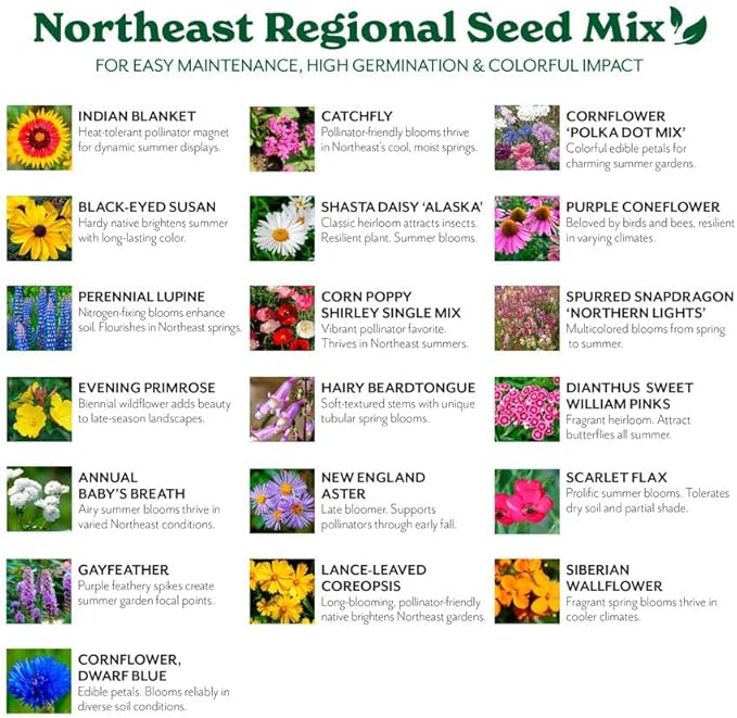 Grow Your Own Vibrant Annual and Perennial Wildflower Garden Seeds Mixture, Varieties for Pollinators and Spring Gardens - Northeast Regional Mix, 5 lbs