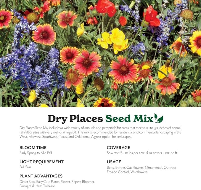 Grow Your Own Vibrant Annual and Perennial Wildflower Garden Mixture, Varieties for Pollinators and Spring Gardens - Dry Places Mix, 25 lbs