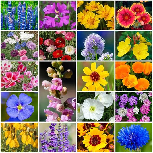 Grow Your Own Vibrant Annual and Perennial Wildflower Garden Seeds Mixture, Varieties for Pollinators and Spring Gardens - Western Regional Mix, 5 lbs