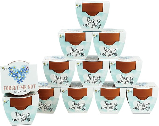 BUZZY Seeds Forget-Me-Not Terracotta Mini Grow Pots Love Collection, 12-Pack All-in-One Gardening Kit for Wedding Favors, Prizes, Birthday Gifts, or Party Favors