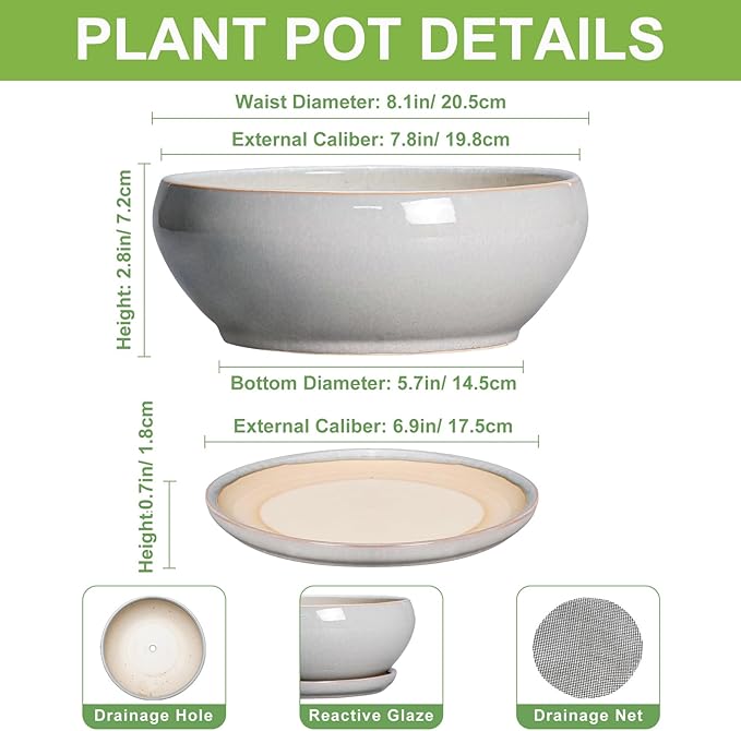 SQOWL Bonsai Tree Pots - 8 Inch Ceramic Plant Pots for Succulents, Shallow Planter with Drainage Hole and Saucer, Round Planter Indoor Outdoor, Bowl Planters, Home Decor, Gift for Plant Lover, Gray