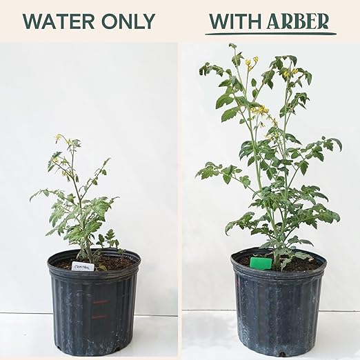 Arber Bio Protectant | Organic Outdoor Plant Fungicide and Root Stimulate Liquid Concentrate | Natural Bloom Boosting Growth Gardening Solution | Control Mildew, Mold, Spots | Make Over 16 Gallons