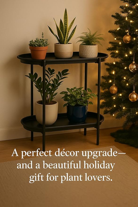 Large Metal 2-Tier Plant Stand – Sleek Black Indoor/Outdoor Flower Pot Shelf with Oval Trays, Space-Saving Modern Storage Rack for Plants, Decor, or Small Furniture Accent