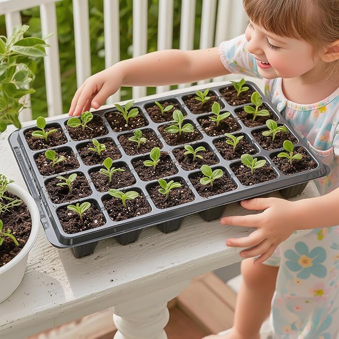 10 Pack XL-Cell Seed Starter Tray, 240 Cells Seedling Trays (2'' Each Cell) with Humidity Dome & Vented Lid, Mini Greenhouse Propagator for Plant Growing, Gardening Supplies